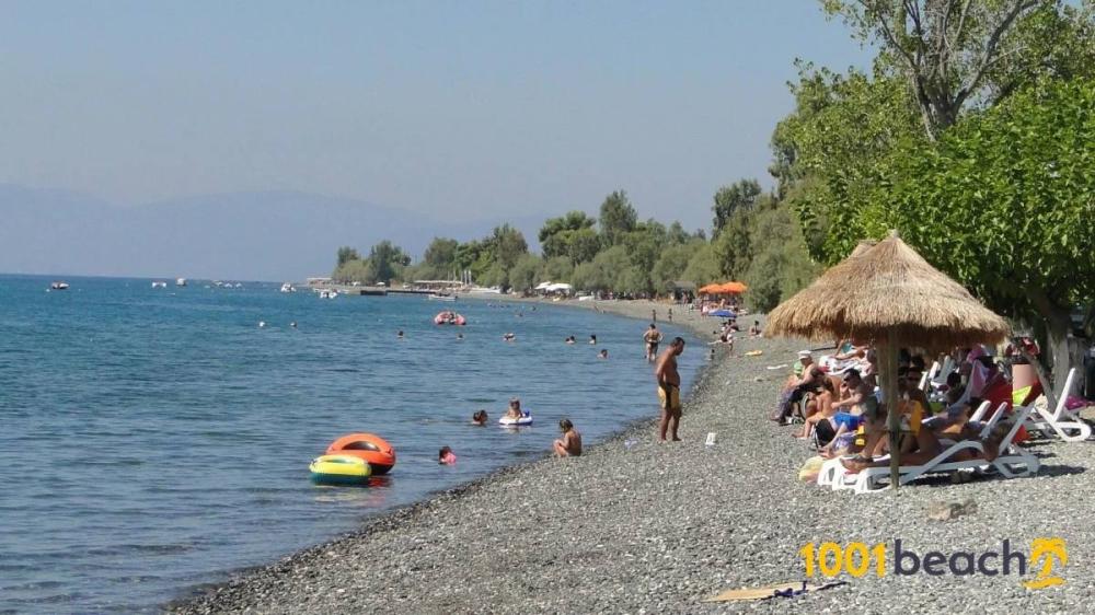 Εκδρομούλα για Μπανάκι στα Πολιτικά Χαλκίδας