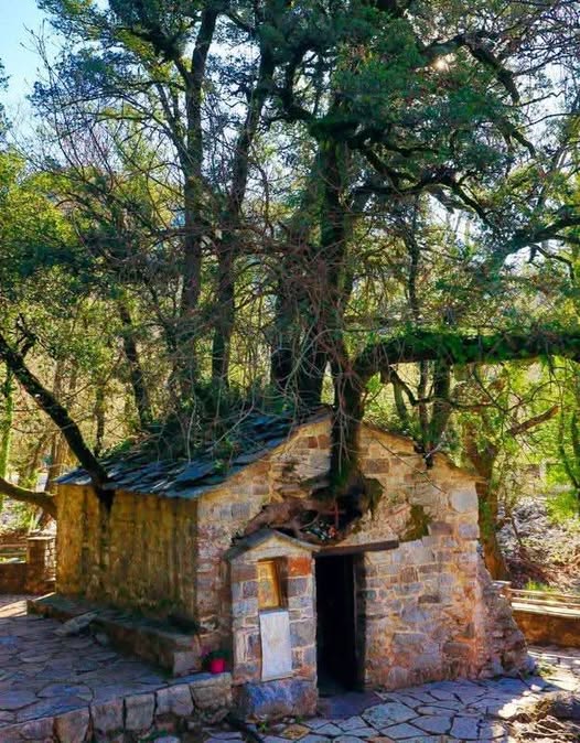 Excursion to Agia Theodora