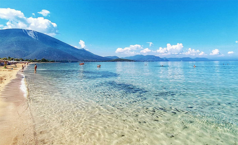 09/08 ΔΡΟΣΙΑ ΧΑΛΚΙΔΑΣ 