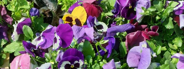 7. ΟΚΤΩΒΡΙΟΣ {noPicture}