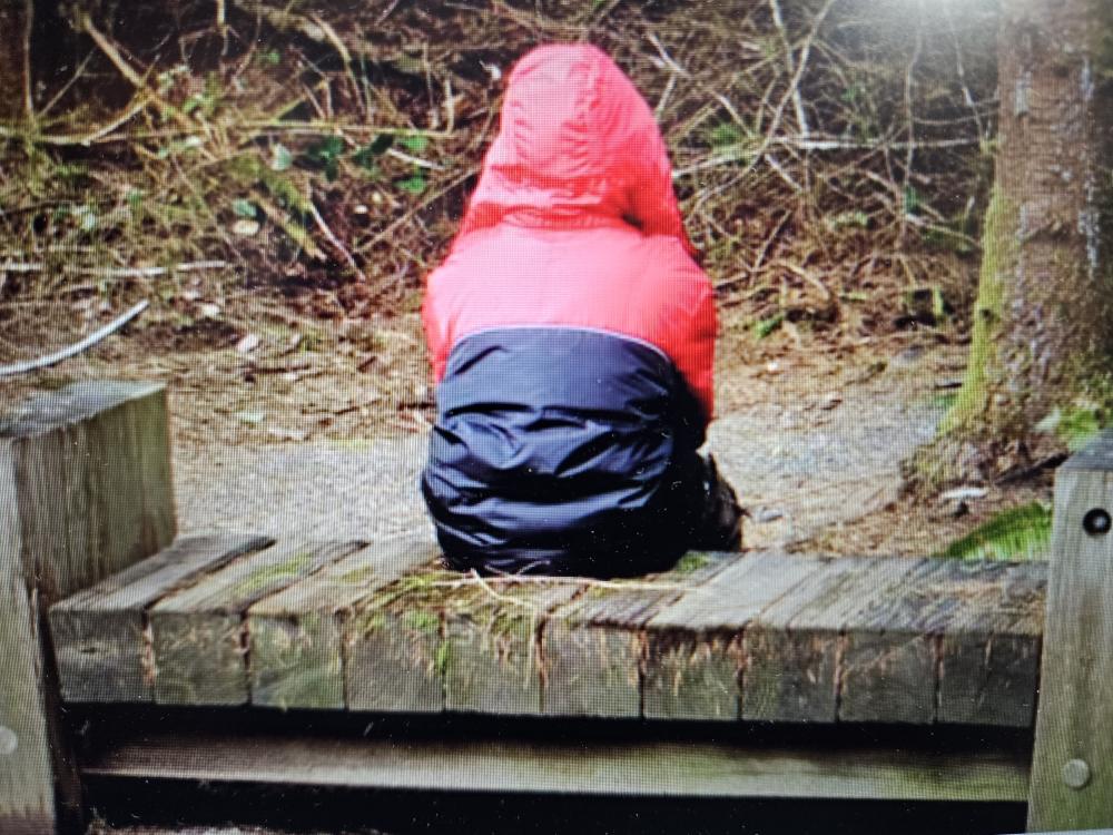 ΣΩΦΡΟΝΙΣΜΟΣ ΑΝΗΛΙΚΩΝ