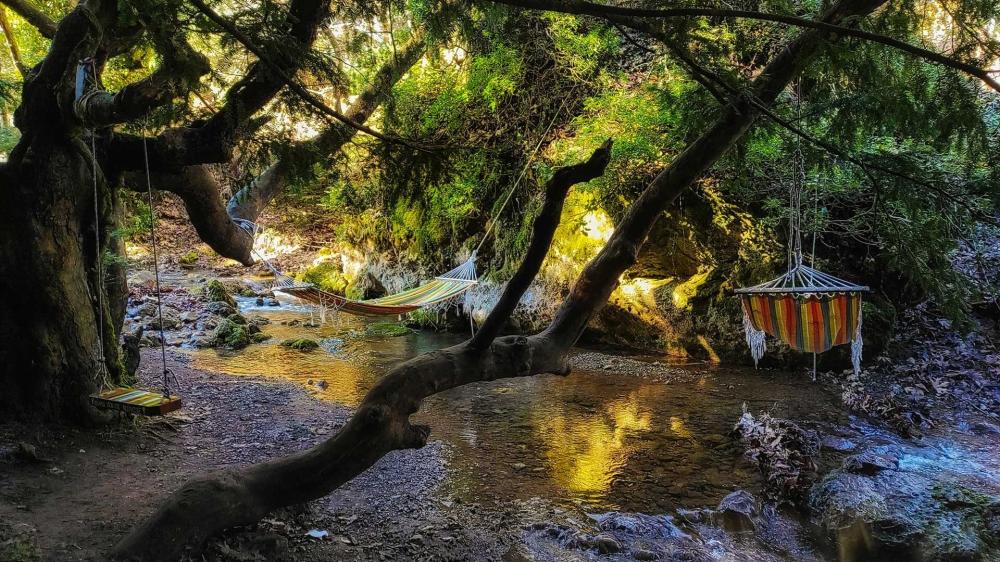 One-day trip to beautiful Pavliani