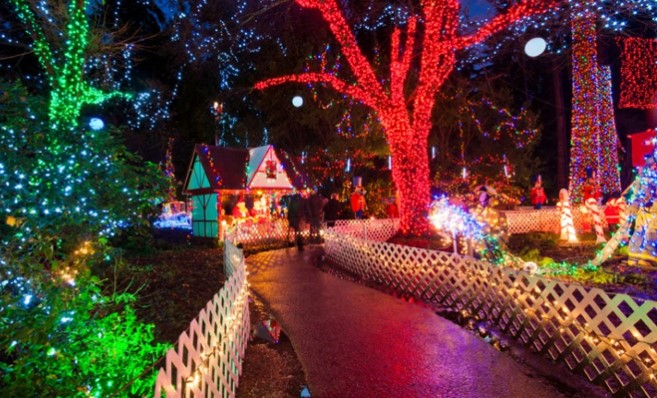 Afternoon Excursion – Park of Colors Katerini