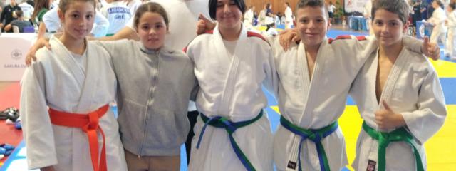 Τουρνουά Τζούντο