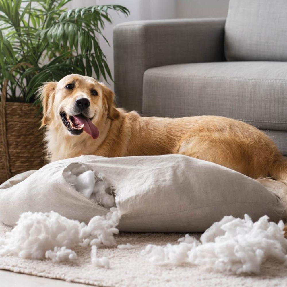 Τι φτάνει τον σκύλο μας στα άκρα;