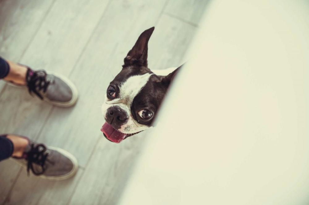 Συμβιώνοντας αρμονικά!