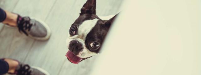 Συμβιώνοντας αρμονικά!