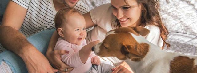 Παιδί και σκύλος: Όταν η οικογένεια μεγαλώνει!