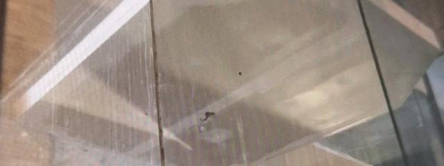 Ειδική Κατασκευή Παταριού Σιδηροκατασκευή & Ξύλο με Γυψοσανίδα {noPicture}