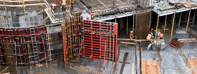 Phasellus suscipit vel leo vitae