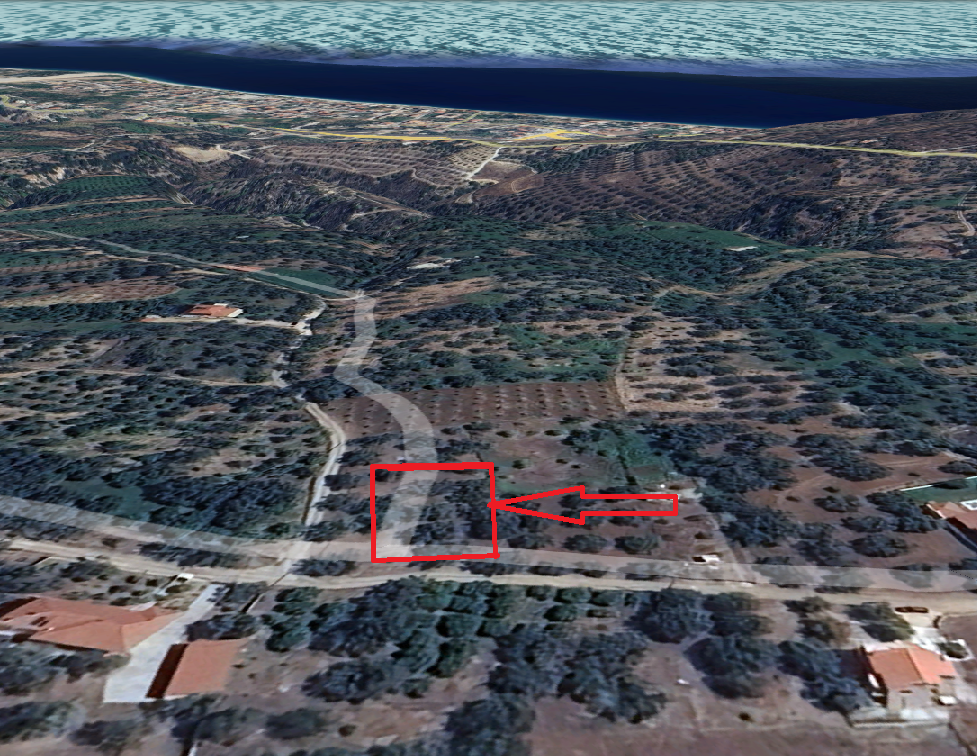 ΟΙΚΟΠΕΔΟ 540 ΤΜ ΣΤΗΝ ΑΜΠΕΛΟ