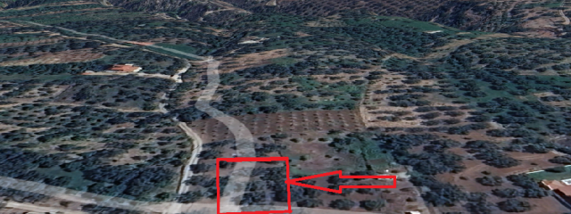 ΟΙΚΟΠΕΔΟ 540 ΤΜ ΣΤΗΝ ΑΜΠΕΛΟ