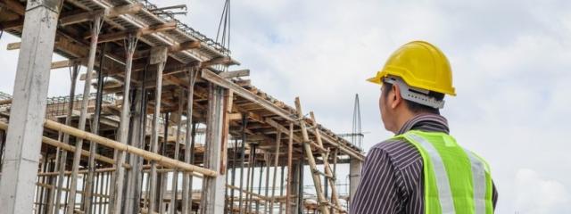 They are usually composed of Latin words