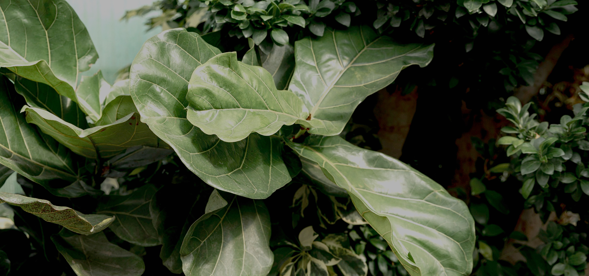 ΣΧΕΤΙΚΑ ΜΕ ΜΑΣ