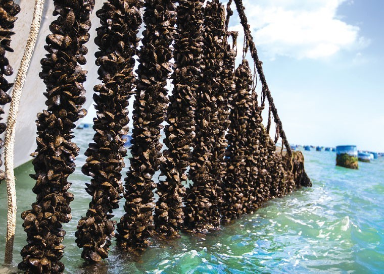 Η Ιστορία μας 