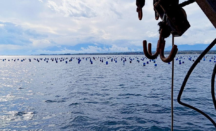 Παραγωγική Διαδικασία 