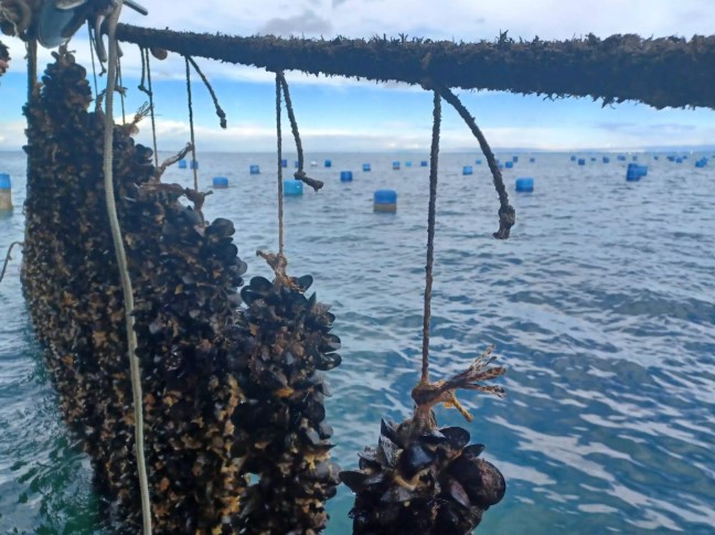 Εξαγωγές & Συνεργασίες 