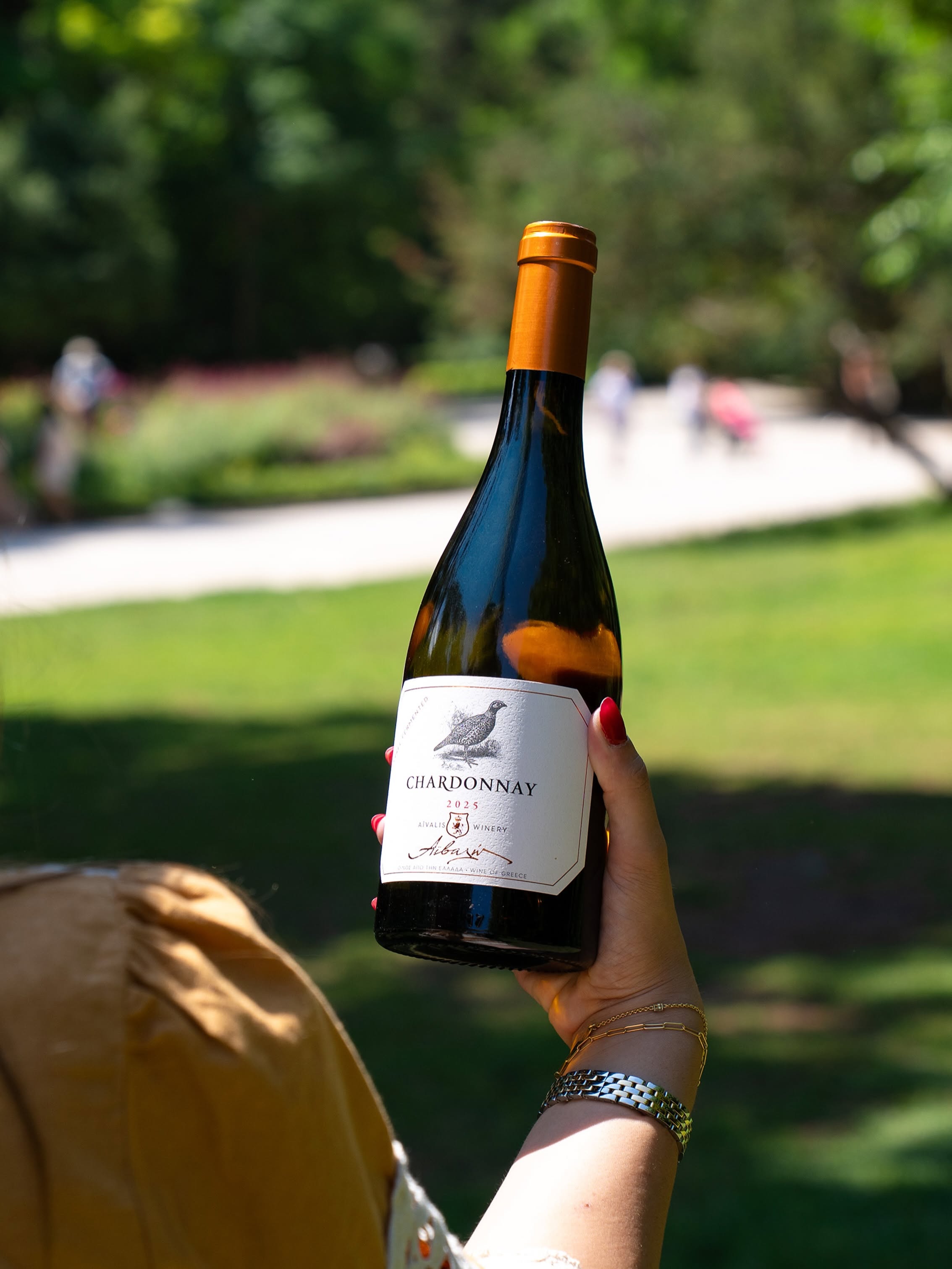 CHARDONNAY 