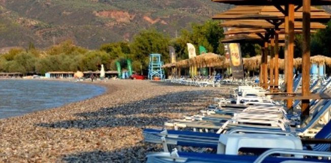 ΗΜΕΡΗΣΙΑ ΕΚΔΡΟΜΗ ΠΑΡΑΛΙΑ ΕΛΑΙΩΝΑ  