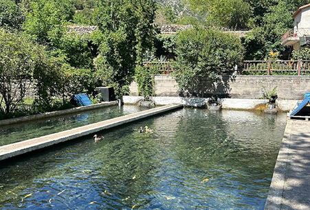 Φρέσκο Ψάρι από το Ιχθυοτροφείο μας 