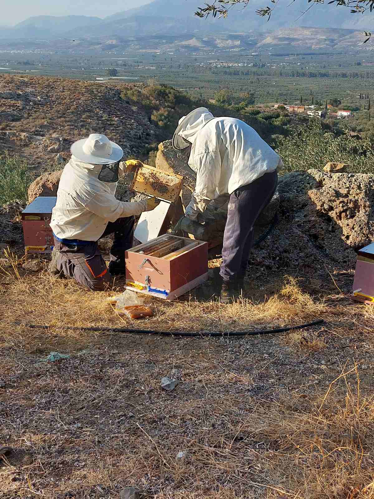 Περισσότερα 