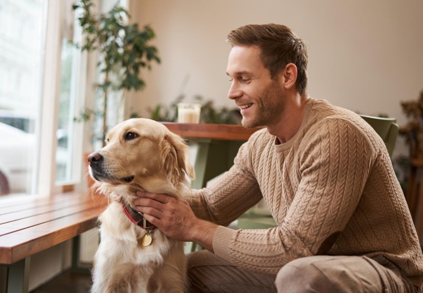 Τροφές για σκύλους & γάτες 