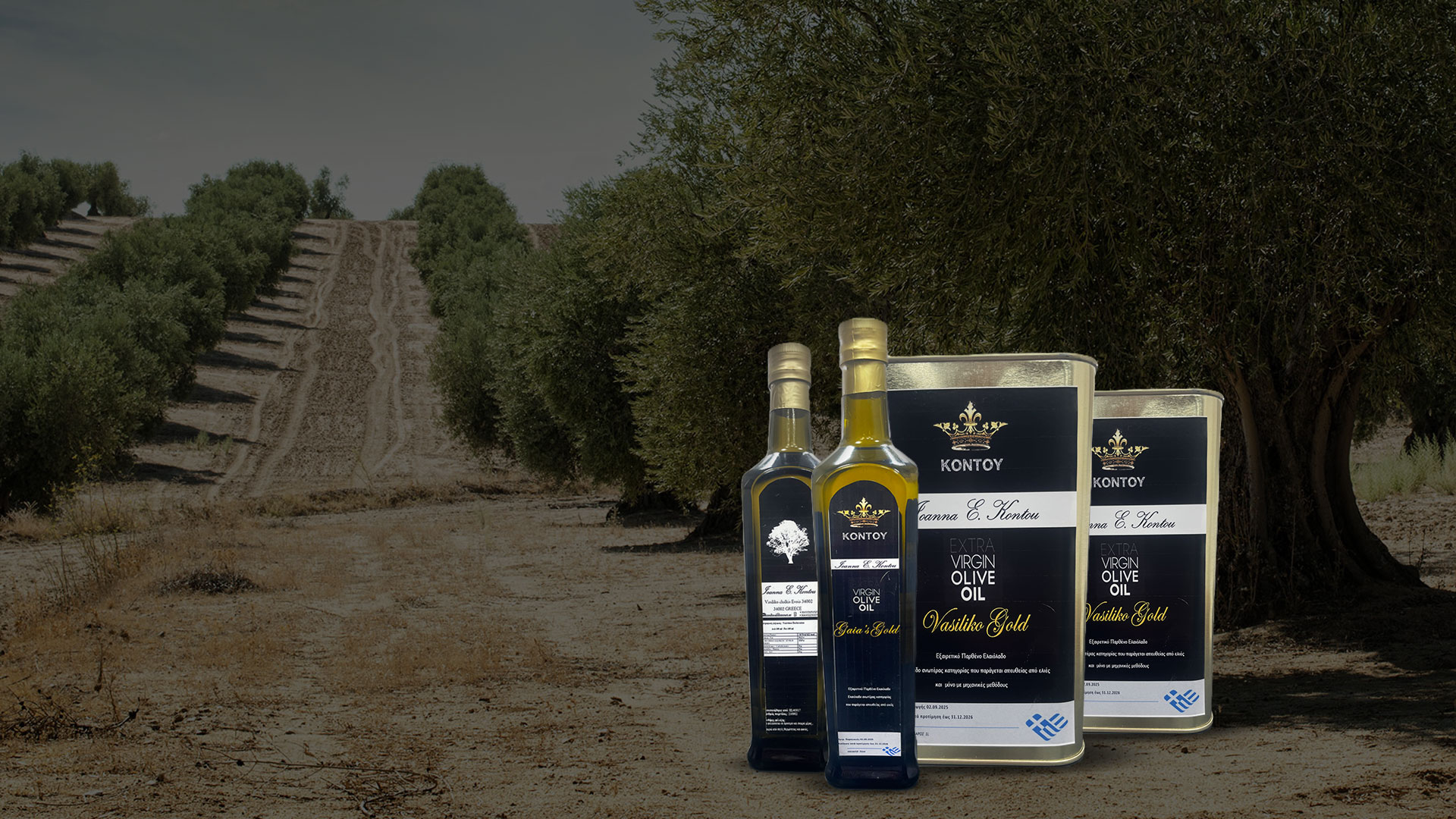 OUR PRODUCTS  OUR PRODUCTS