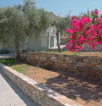 ΒΙΝΤΕΟ 