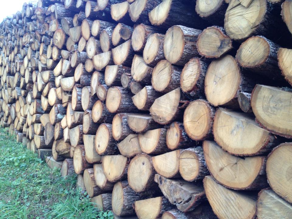 ΔΕΙΤΕ ΤΙ ΠΡΟΣΦΕΡΟΥΜΕ 