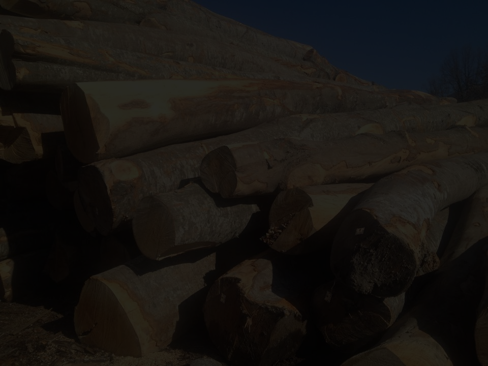 ΕΠΙΚΟΙΝΩΝΙΑ 