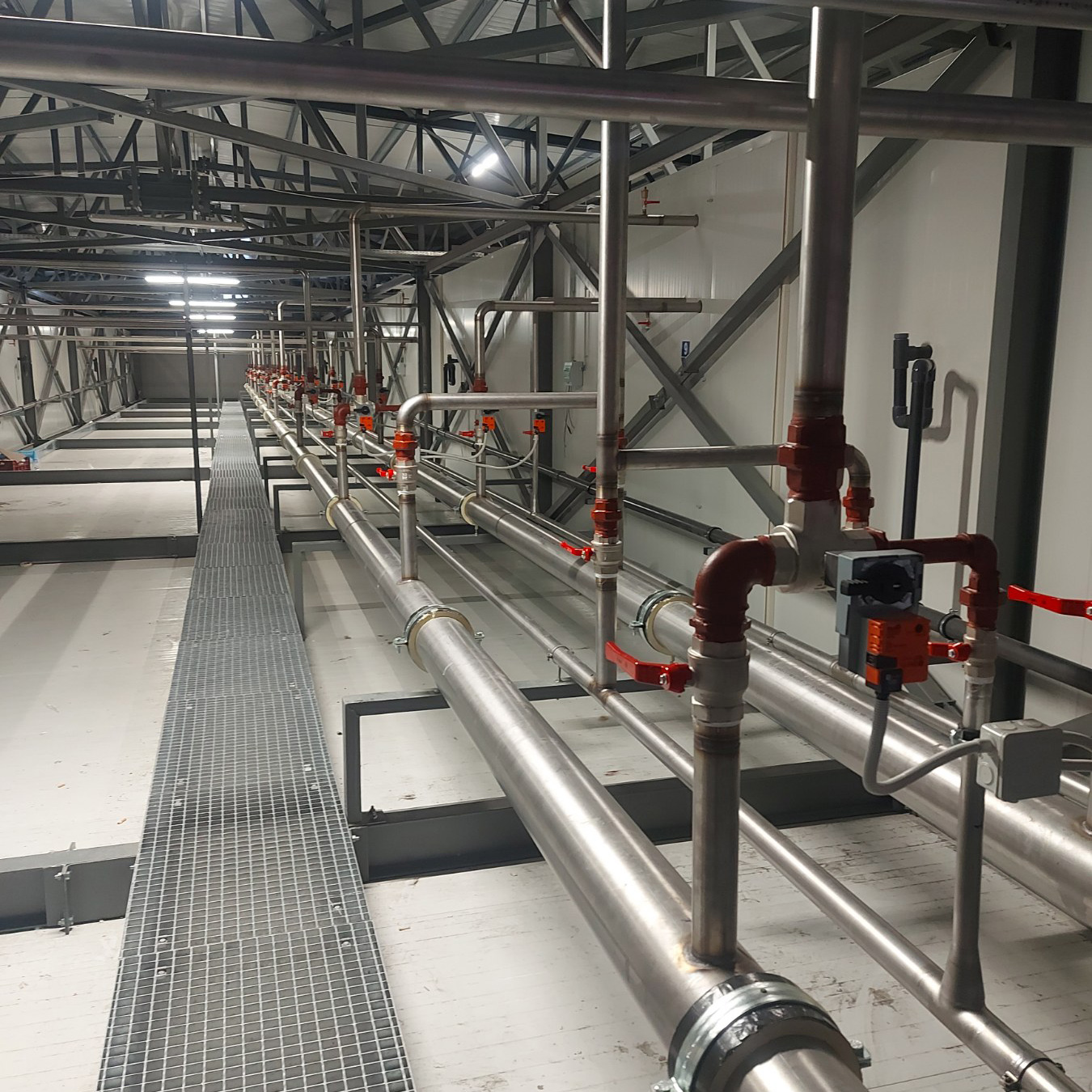 Δίκτυα γλυκόλης 