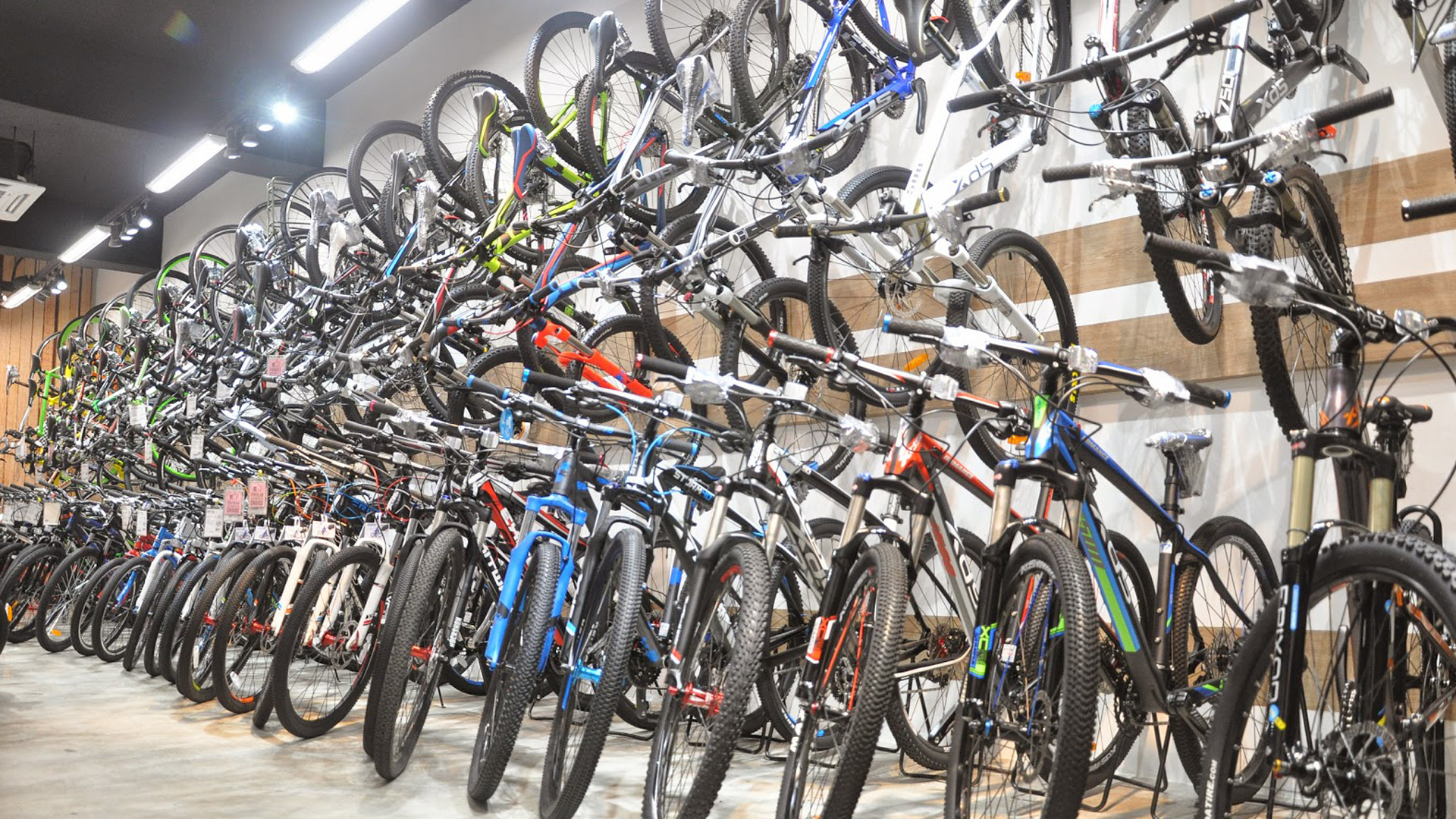 ΦΩΤΟΓΡΑΦΙΕΣ 