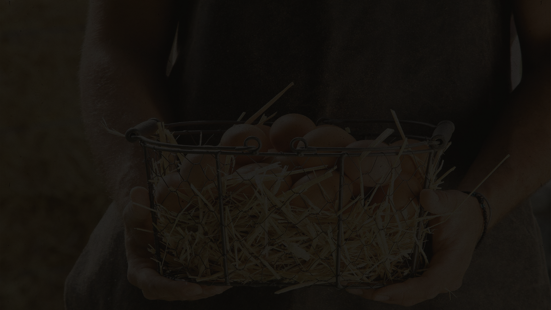 ΕΠΙΚΟΙΝΩΝΗΣΤΕ ΜΑΖΙ ΜΑΣ 