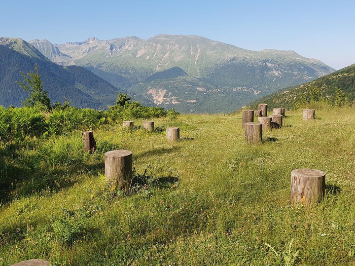Τα Βότανα καλλιεργούνται 