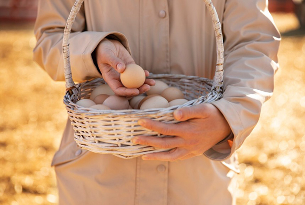 Από τη φάρμα μας - στη πόρτα σας!  Από τη φάρμα μας - στη πόρτα σας!