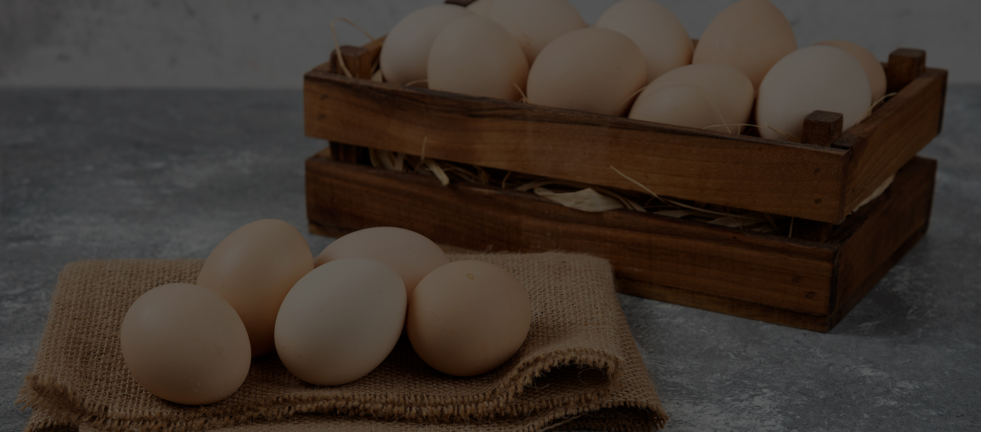 Επικοινωνήστε μαζί μας  Επικοινωνήστε μαζί μας