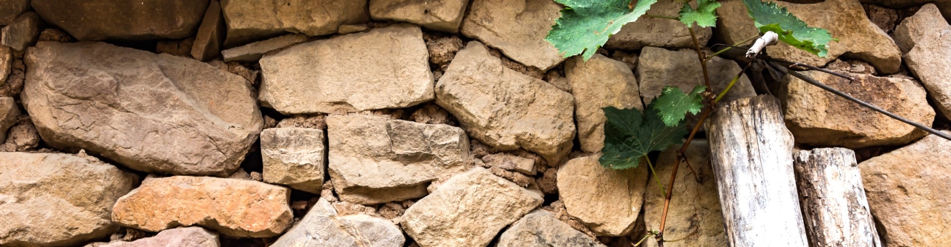 ΑΝΑΠΑΛΑΙΩΣΕΙΣ 