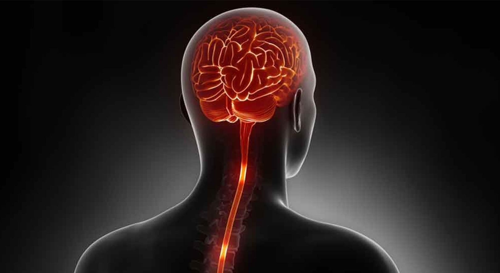 ALS Νόσος Κινητικού Νευρώνα 