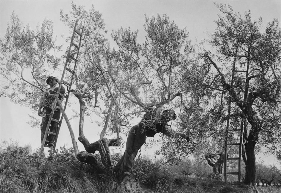 Η Οικογένειά μας 