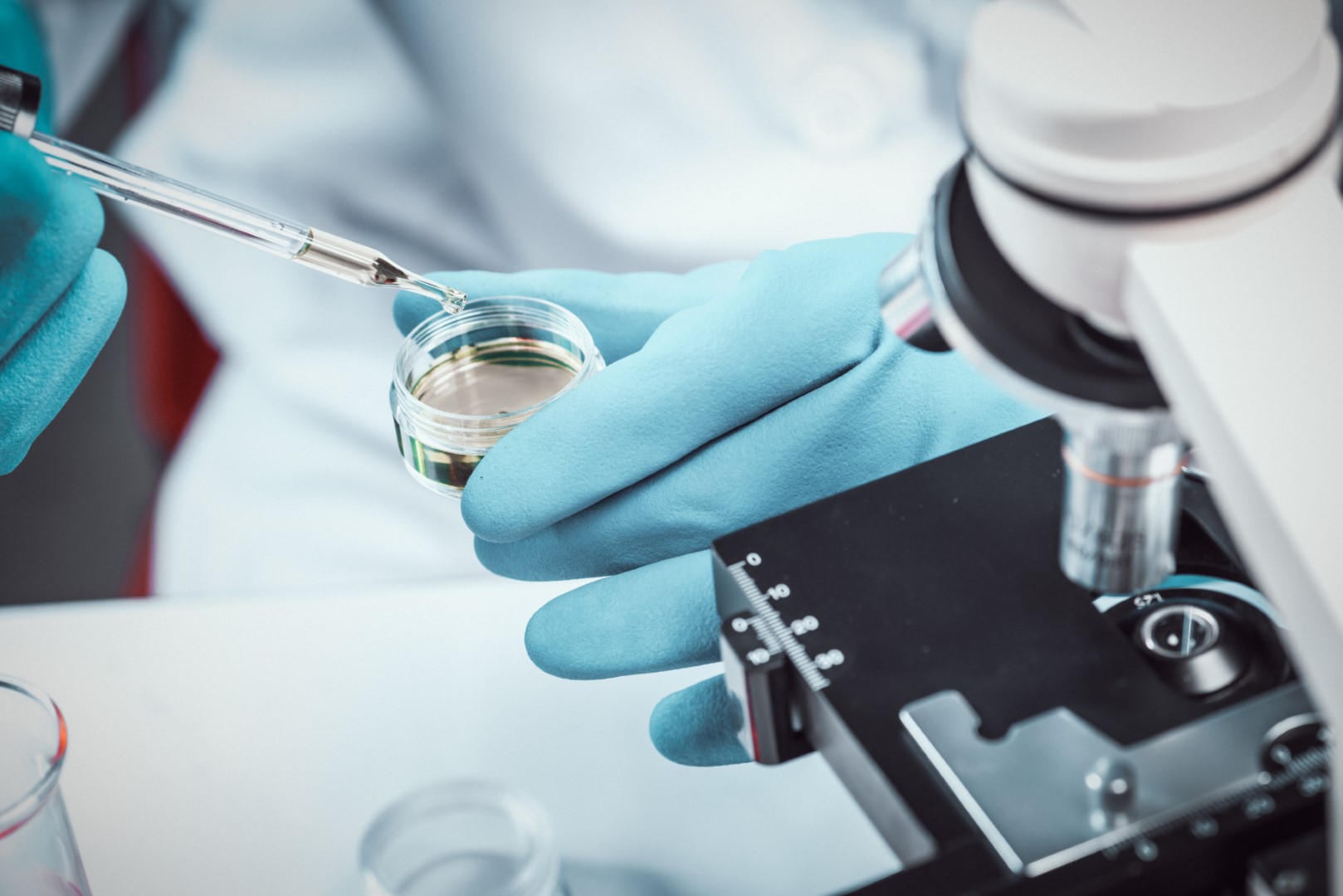 Το Εργαστήριο 