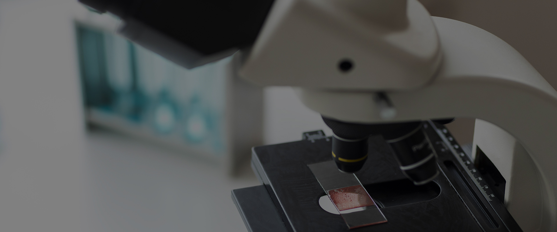 Επισκεφθείτε μας 