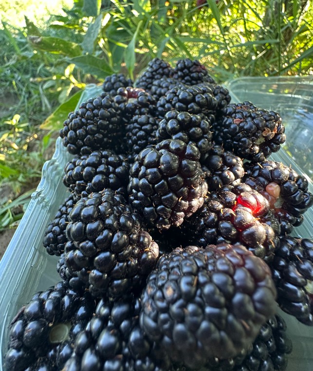 Τα προϊοντα μας 