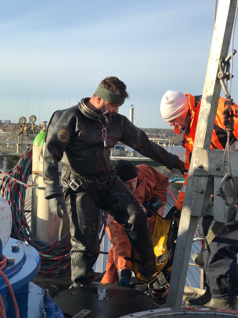 Αγωγοί και καλώδια 