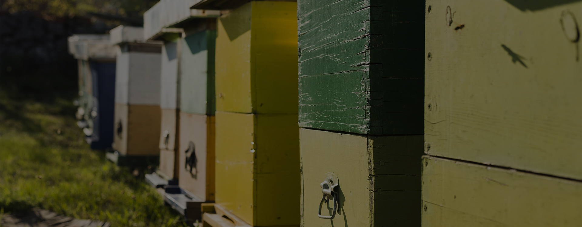 Επικοινωνήστε μαζί μας 