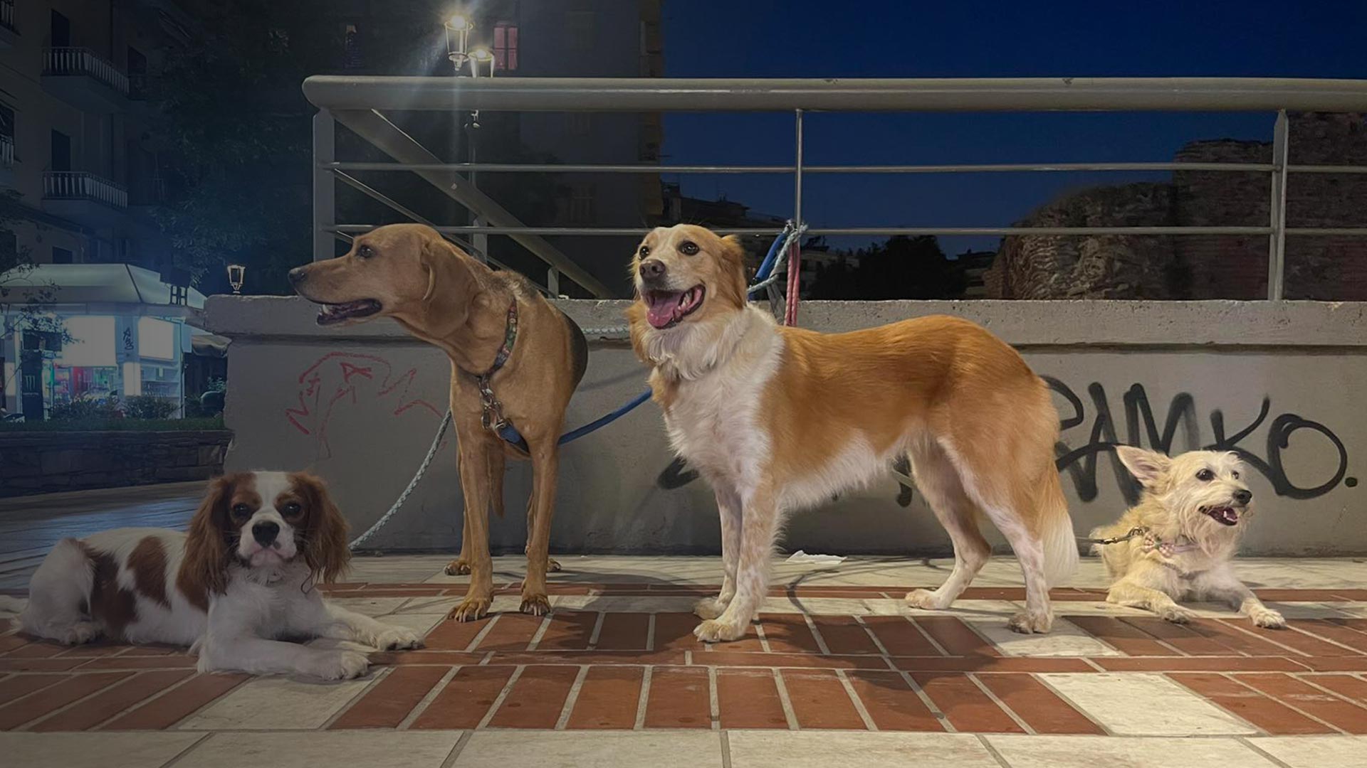 Γιατί να μας επιλέξετε 