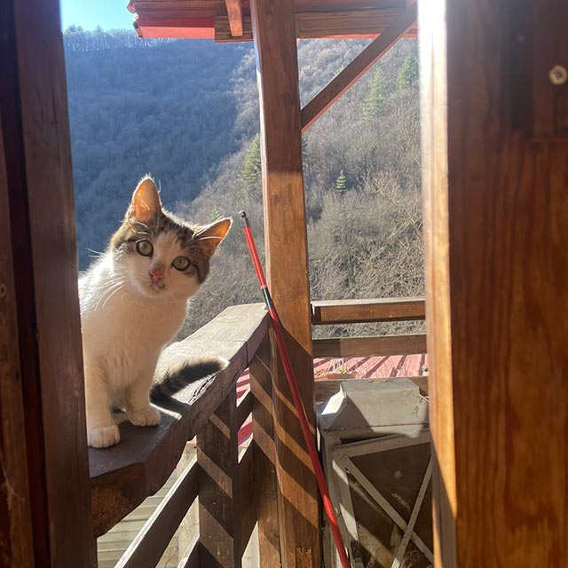 ΟΙ ΥΠΗΡΕΣΙΕΣ ΜΑΣ 