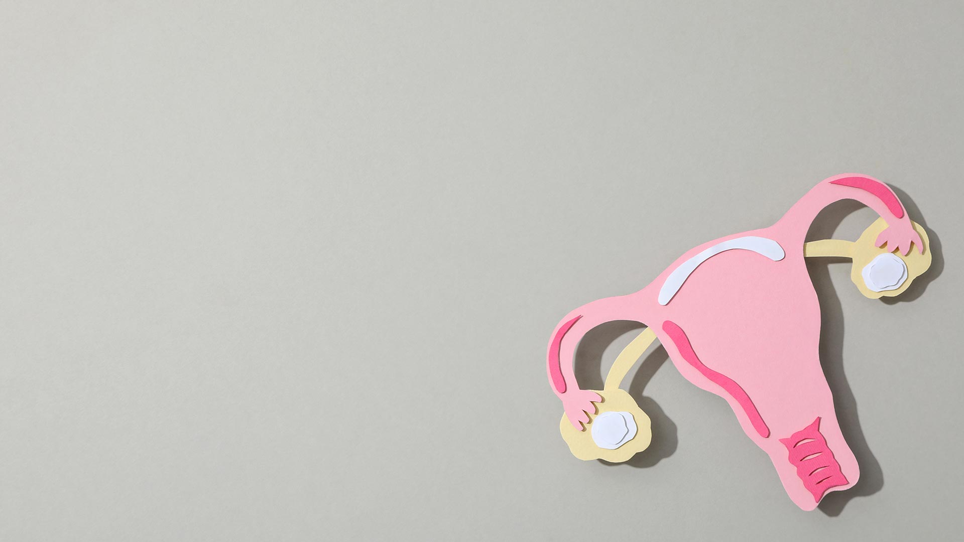 Σε κάθε στάδιο ζωής 