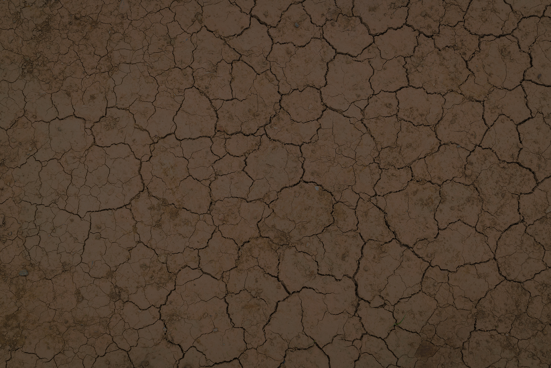 Για κάθε σας ανάγκη σε χωματουργικές εργασίες, 