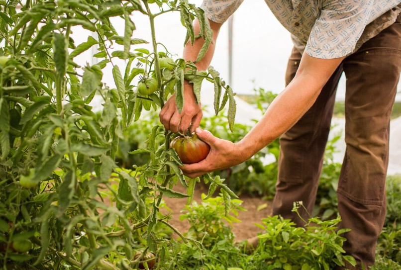 Εταιρείες με τις οποίες συνεργαζόμαστε 