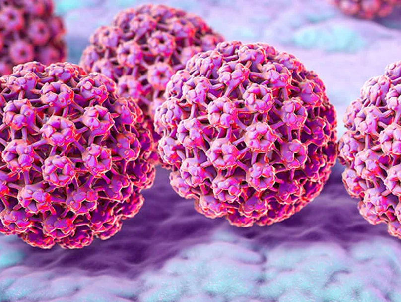 Αφροδισιολογία 